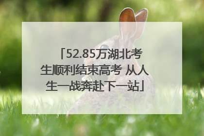 52.85万湖北考生顺利结束高考 从人生一战奔赴下一站