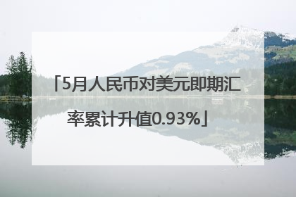 5月人民币对美元即期汇率累计升值0.93%