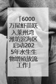 6000万尾虾苗跃入莱州湾 潍坊滨海区启动2025年水生生物增殖放流工作
