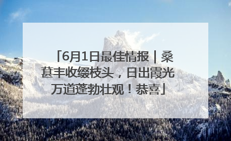 6月1日最佳情报｜桑葚丰收缀枝头，日出霞光万道蓬勃壮观！恭喜