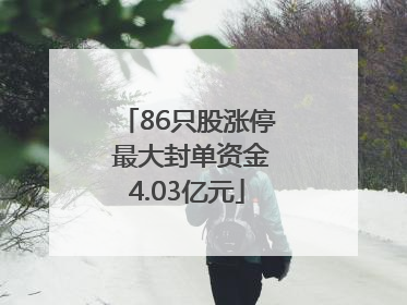86只股涨停 最大封单资金4.03亿元