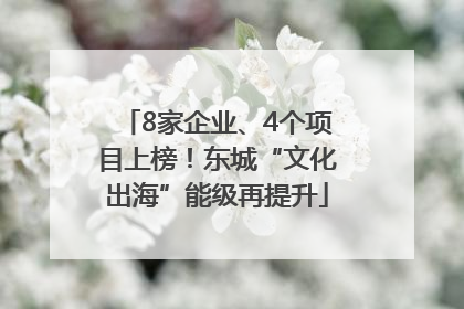 8家企业、4个项目上榜！东城“文化出海”能级再提升