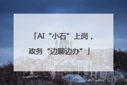 AI“小石”上岗，政务“边聊边办”