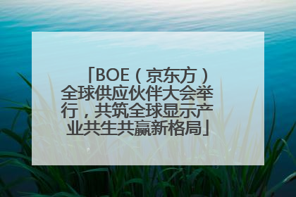 BOE（京东方）全球供应伙伴大会举行，共筑全球显示产业共生共赢新格局