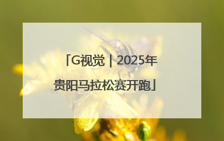 G视觉｜2025年贵阳马拉松赛开跑
