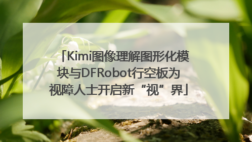 Kimi图像理解图形化模块与DFRobot行空板为视障人士开启新“视”界