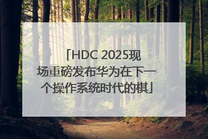 HDC 2025现场重磅发布华为在下一个操作系统时代的棋