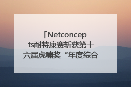 Netconcepts耐特康赛斩获第十六届虎啸奖“年度综合服务商”大奖