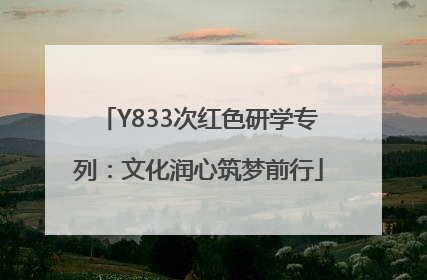 Y833次红色研学专列：文化润心筑梦前行